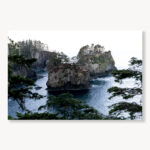 Cape Flattery