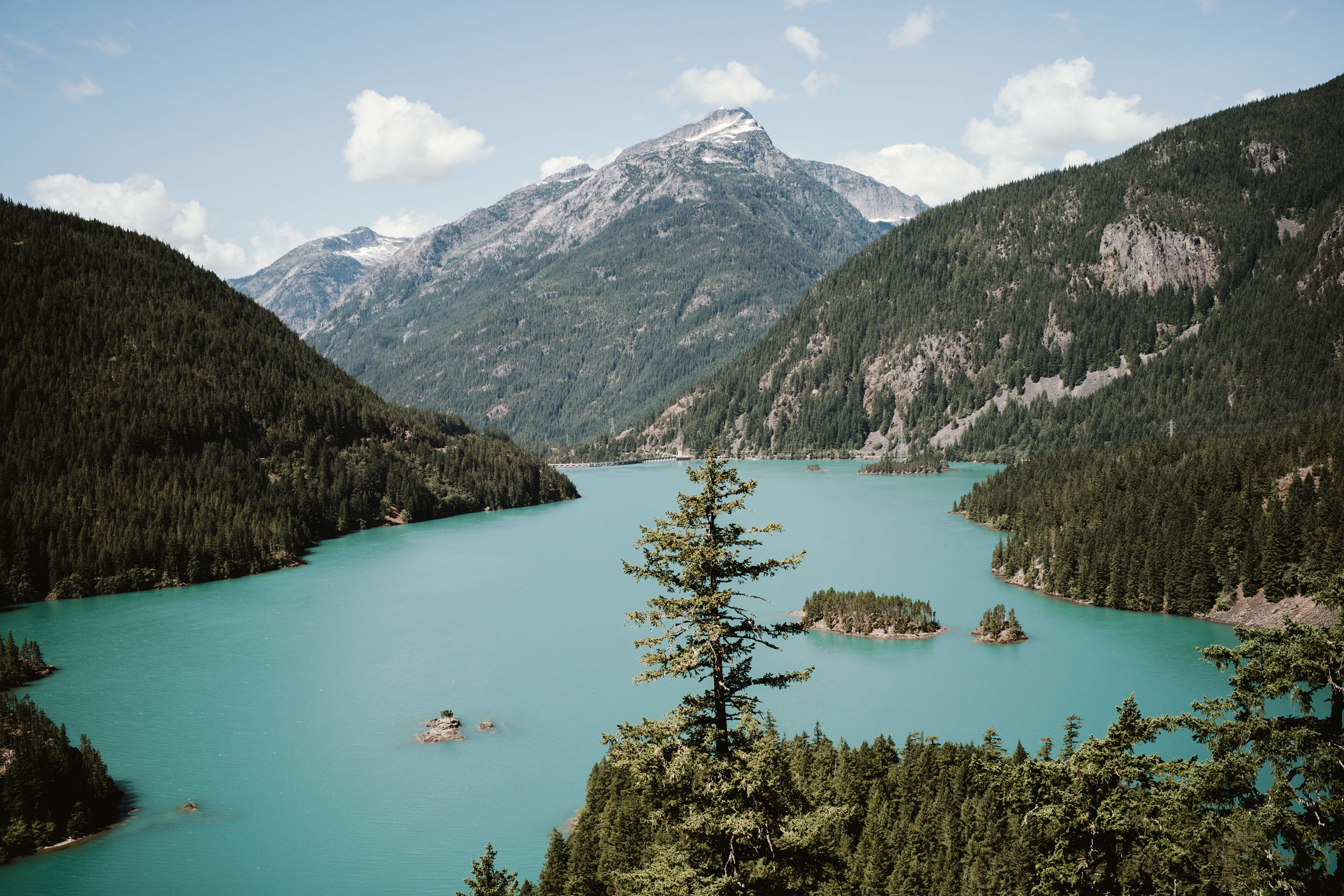 Diablo Lake Seattle Art Source   Fitts Diablo Lake 