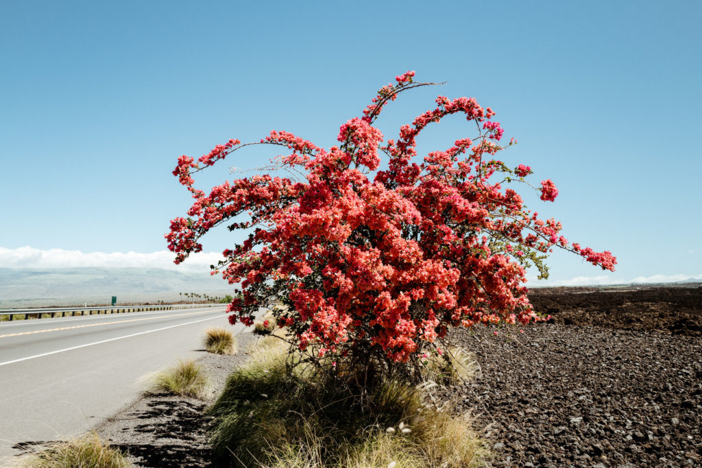 Artist Feature, May 2023