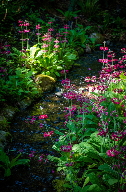 Sarah’s Favorite Things, May 2023