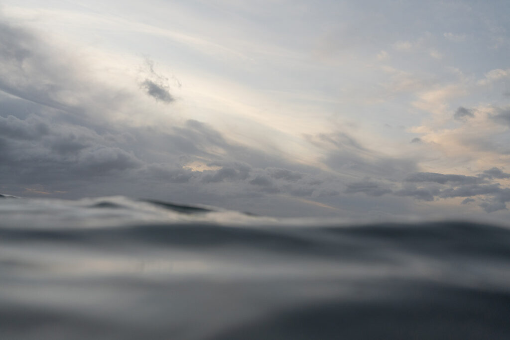 Sarah’s Favorite Things, February 2024