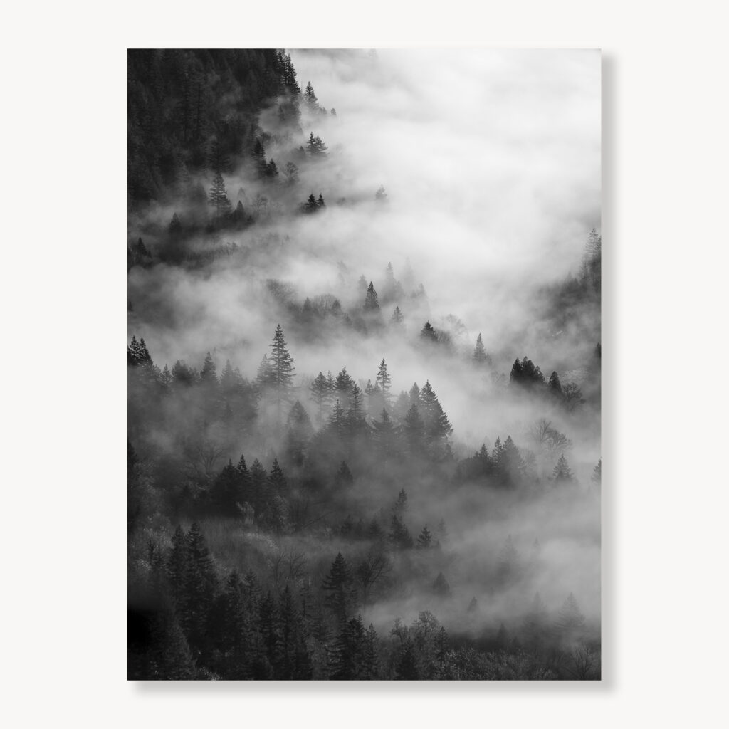 Low Clouds in Middle Fork Valley