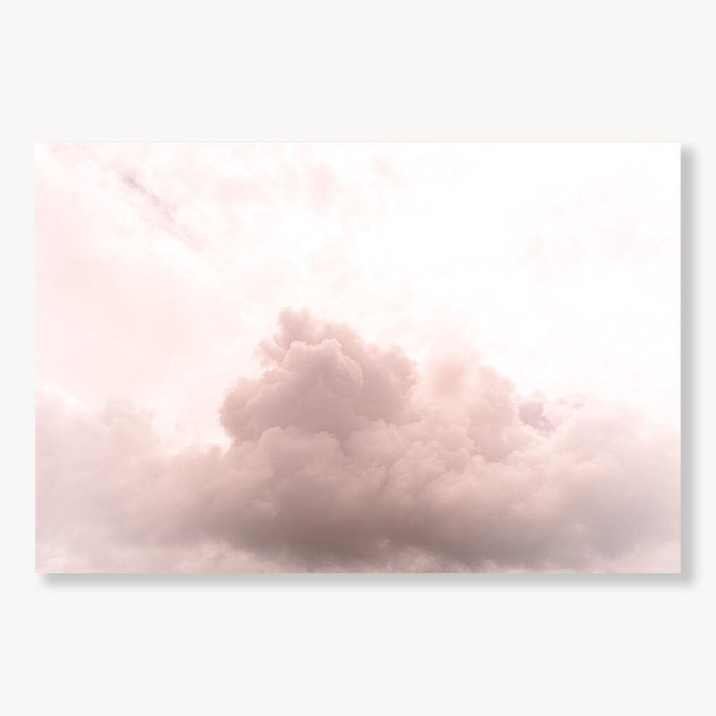 Rose Colored Glasses