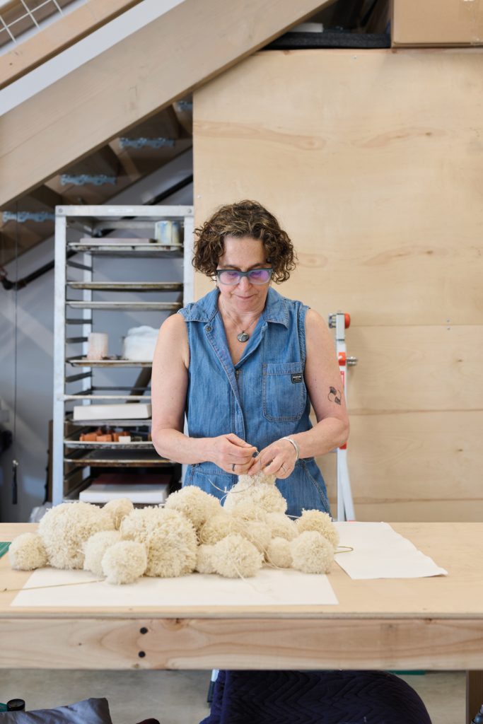 Washington Artist Nancy Mintz: Wire and Paper Sculptures Inspired by Nature | Seattle Art Source