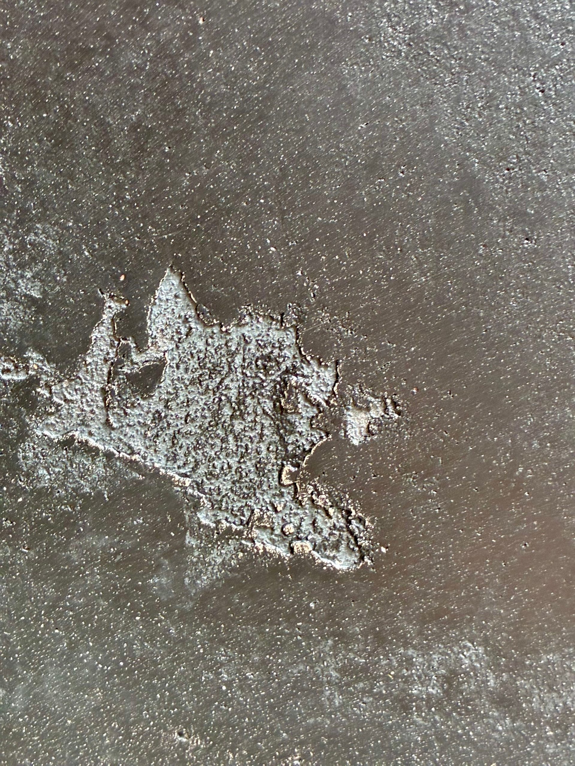 IMG_9284