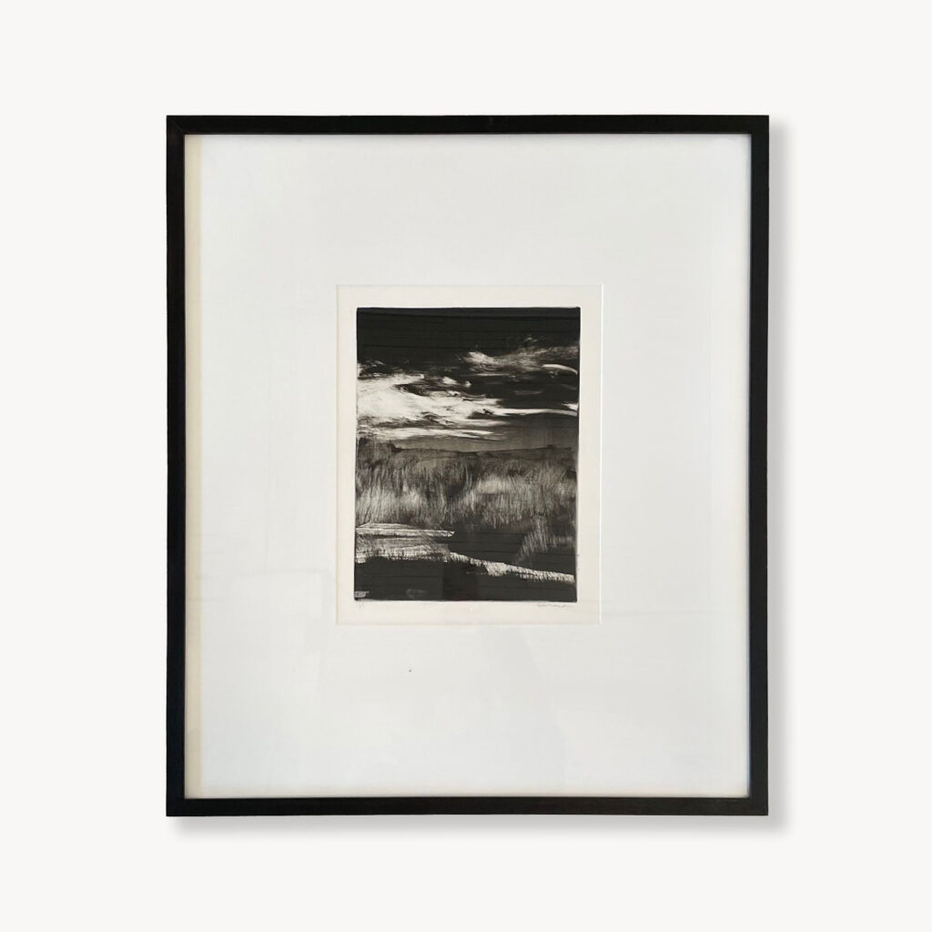 Homeground Suite #11