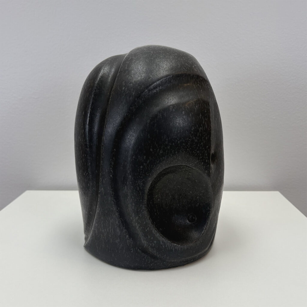 Non-Dual Absorptive Form IX