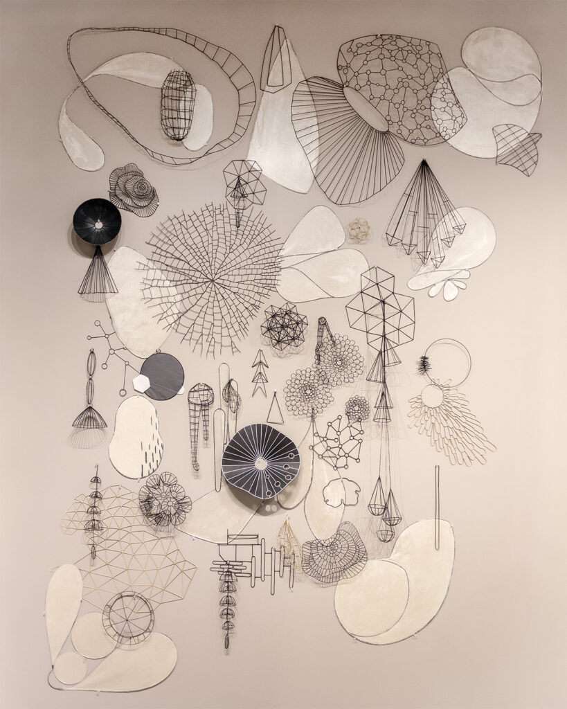 Notions Unveiled: Nancy Mintz’s Debut at Seattle Art Fair