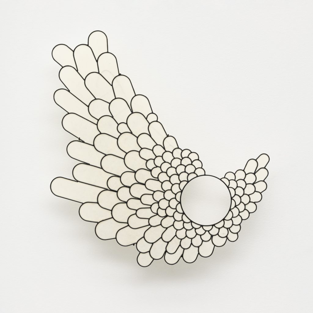 Ornithology