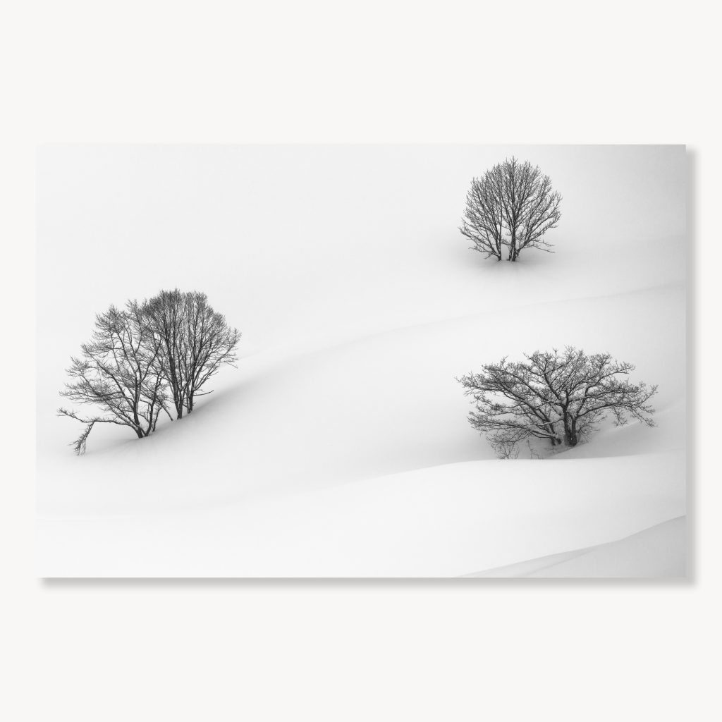 Three Trees in Hakuba