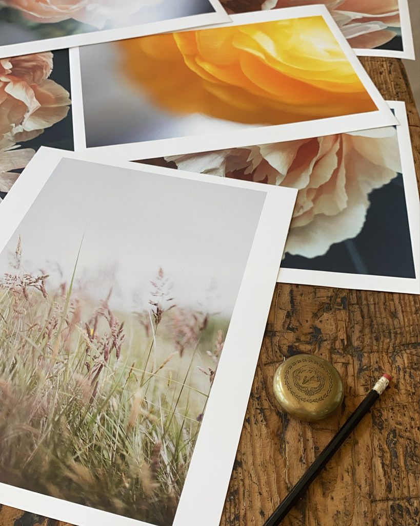 Fine Art Photography for Modern Interiors: Why It Works So Well