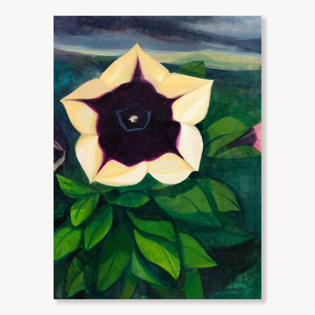 Pansy