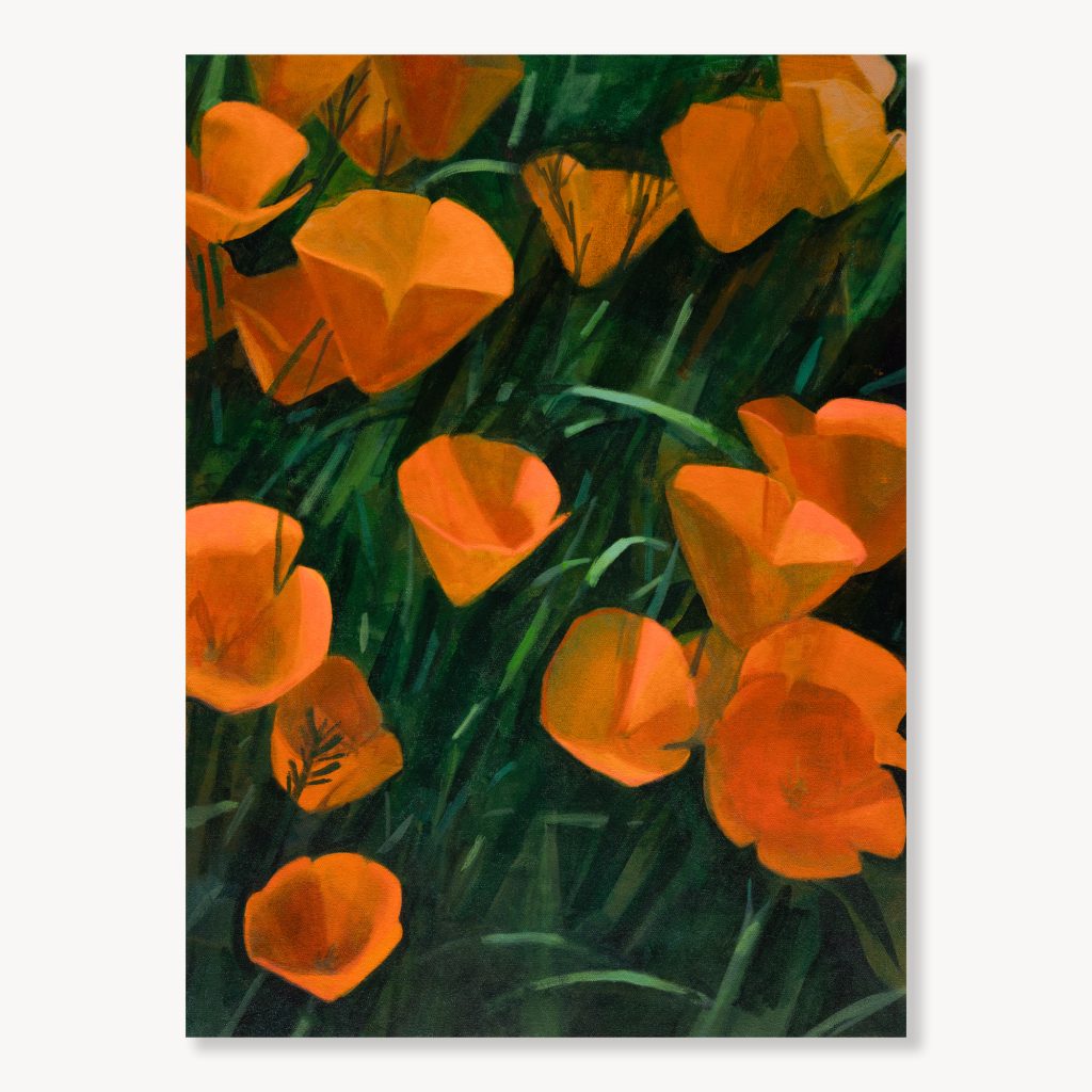 Poppies