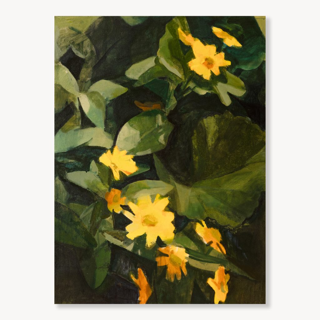 Yellow Daisies