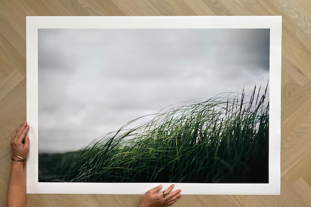 "Seaside in June" by Chandra Sandoval. Image of limited edition print. 